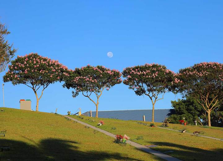 Quadra Jabuticabeira, arborizada e com caminhos largos